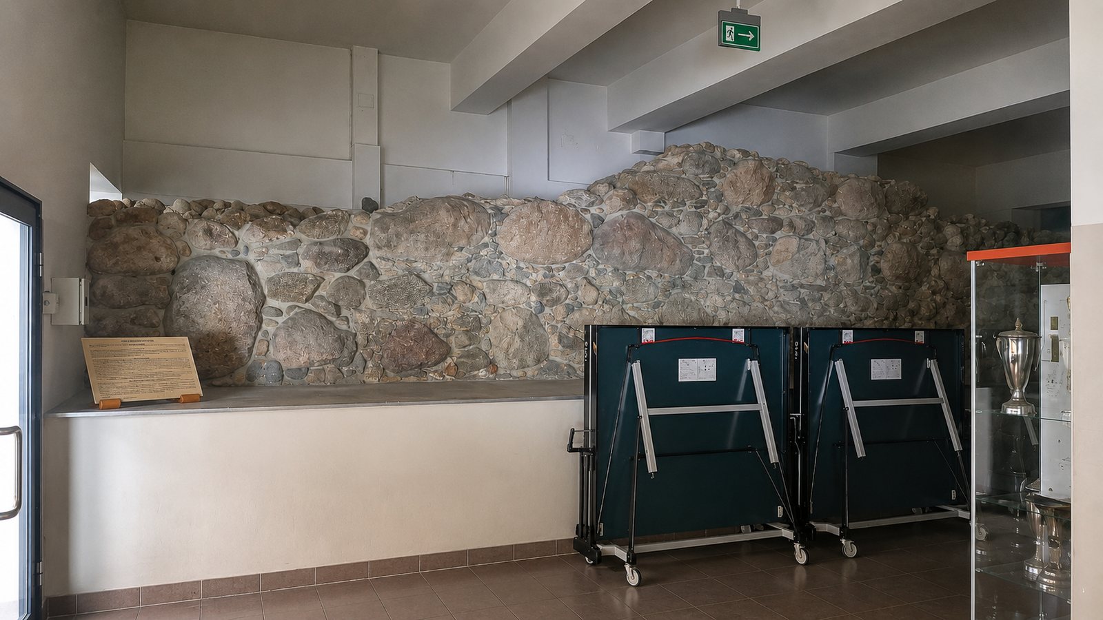 Sala gimnastyczna - zdjęcie 12