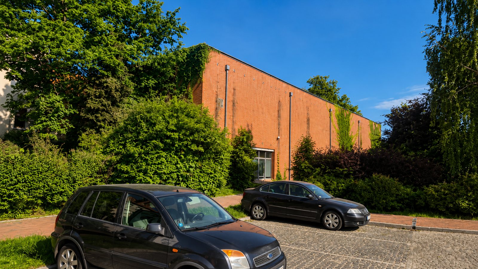 Sala gimnastyczna - zdjęcie 5