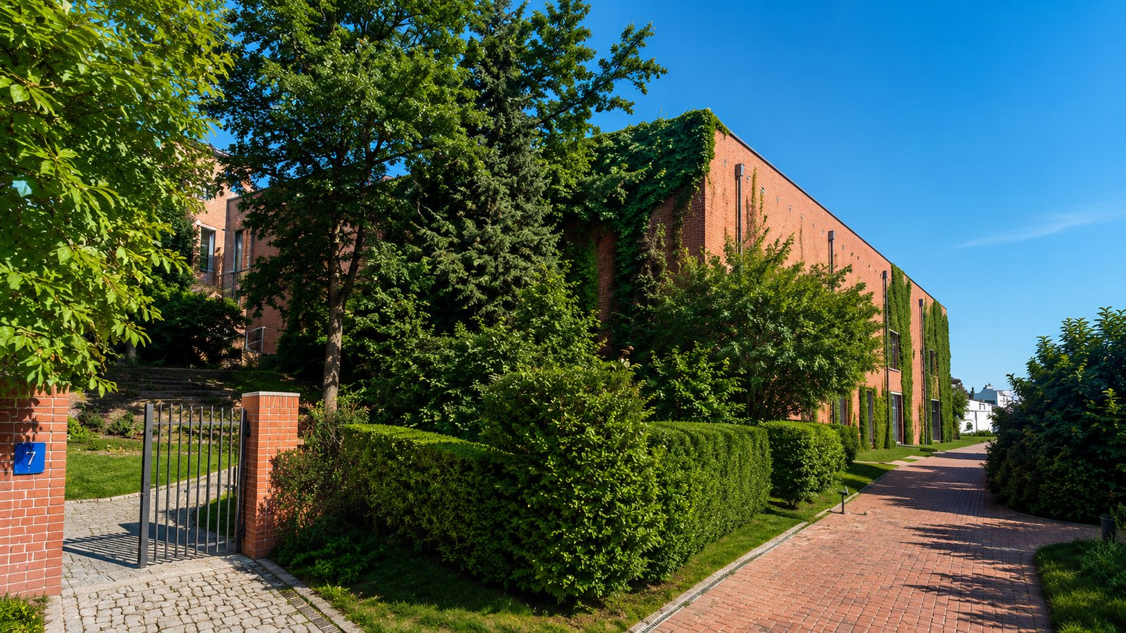Sala gimnastyczna - zdjęcie 6